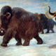 Portion of a mural depicting a herd of mammoths walking near the Somme River (1916) (Image: Charles R. Knight/American Museum of Natural History/Public Domain)